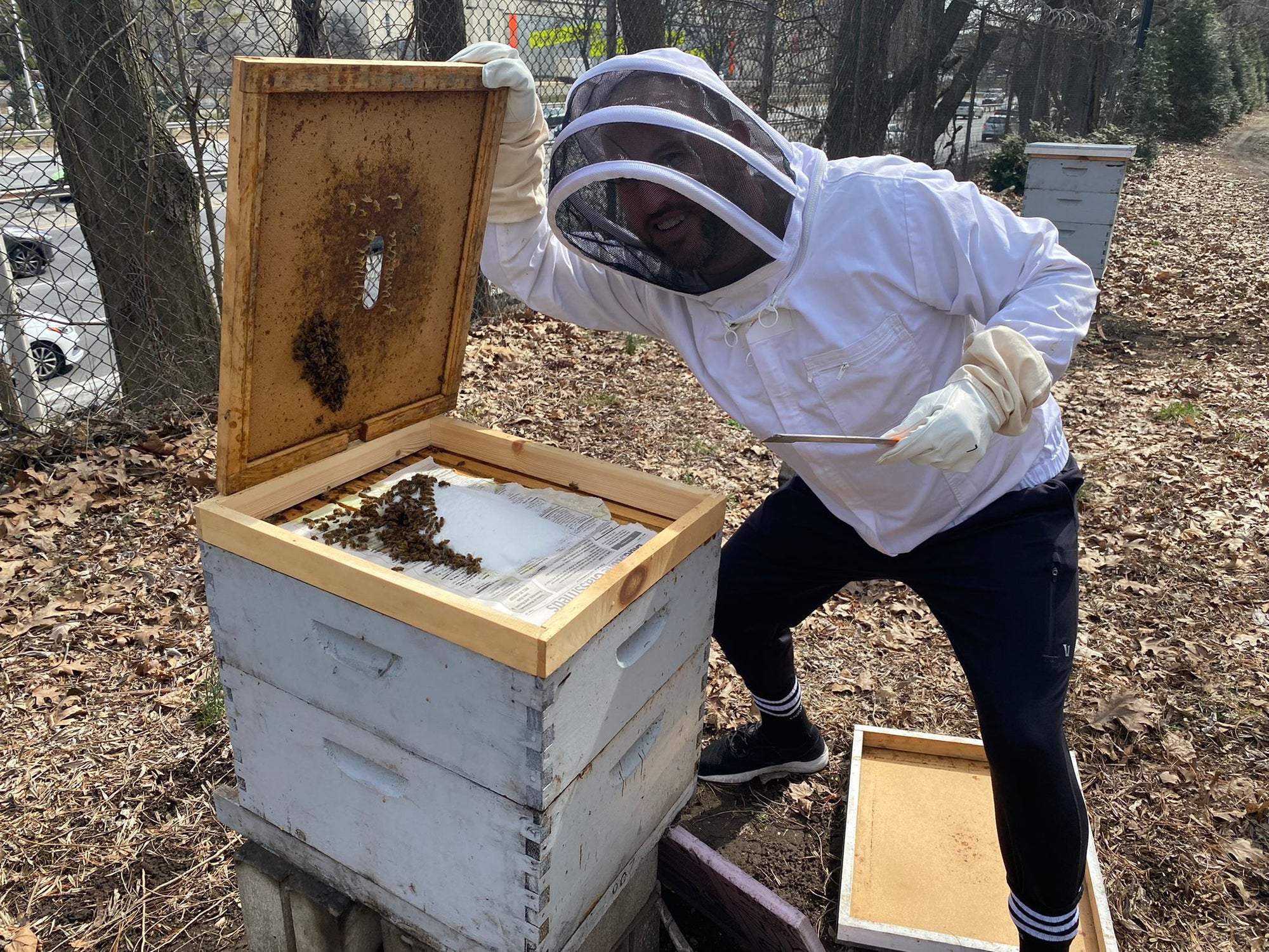 POTENT VENTRUES ESTABLISHES NEW PARTNERSHIP WITH NEW YORK BASED “THE BEE CONSERVANCY” TO ENACT ITS PURPOSE-DRIVEN KEYSTONE SPECIES STRATEGY FOR THE GUMMY PROJECT
