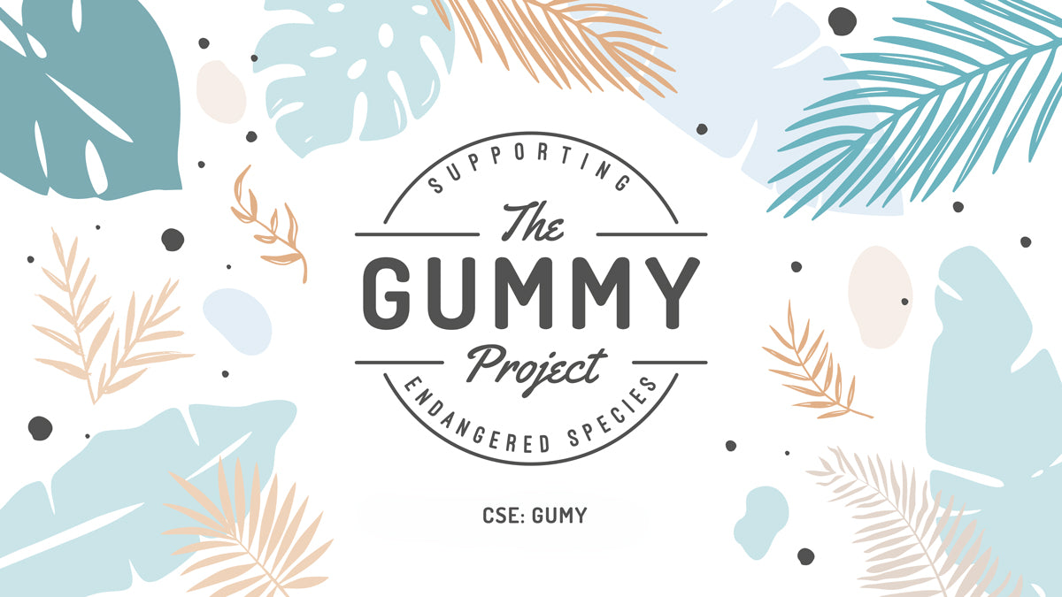 POTENT VENTURES COMPLETES CHANGE OF BUSINESS - ANNOUNCES NAME CHANGE TO “THE GUMMY PROJECT INC.” AND CHANGE OF ITS TICKER SYMBOL TO “GUMY”